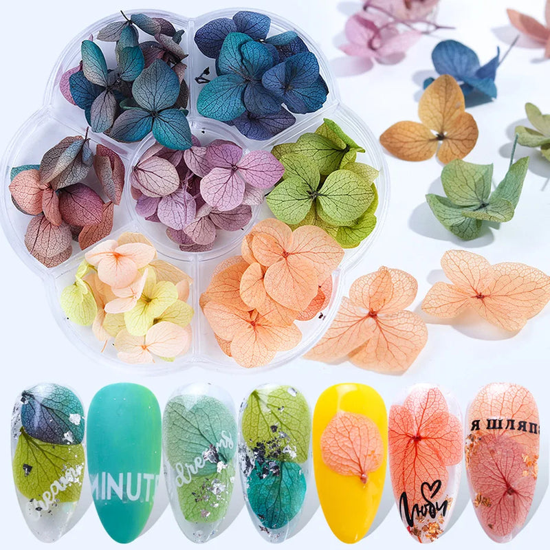 100Pcs Nail Dry Flowers Immortal Ins Beautiful Big Decal for Manicure DIY Ornaments Dried Flowers Nail Art Jewelry/Stickers#WR22