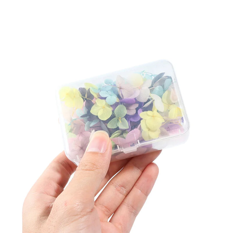 100Pcs Nail Dry Flowers Immortal Ins Beautiful Big Decal for Manicure DIY Ornaments Dried Flowers Nail Art Jewelry/Stickers#WR22