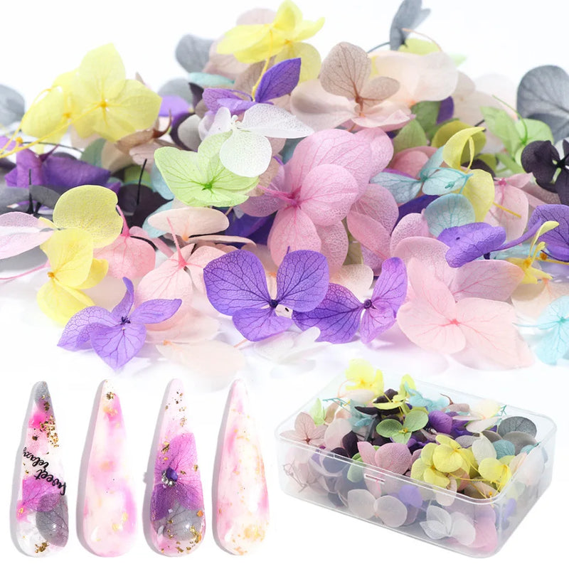 100Pcs Nail Dry Flowers Immortal Ins Beautiful Big Decal for Manicure DIY Ornaments Dried Flowers Nail Art Jewelry/Stickers#WR22